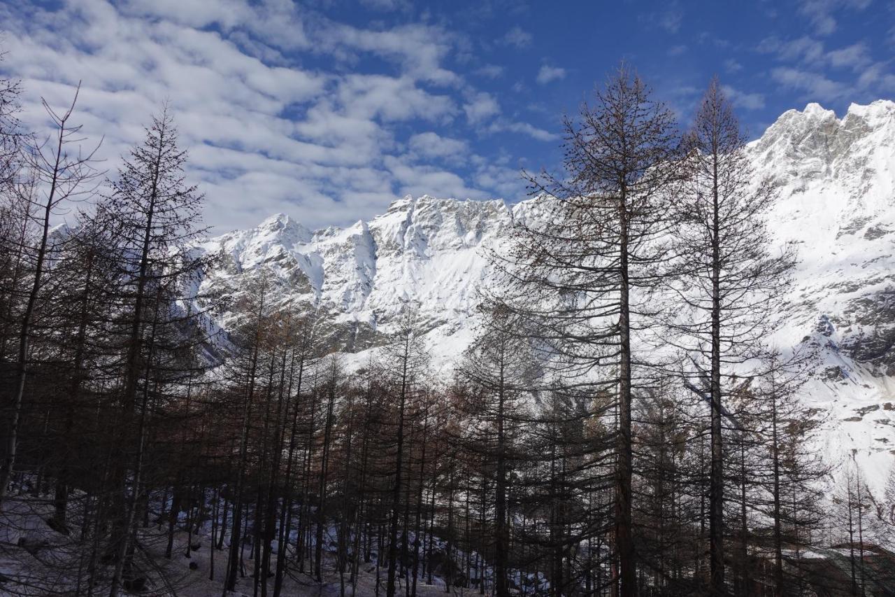 Erikzang - Cervinia Ski In Ski Out Apartments Бройл-Червиня Екстериор снимка